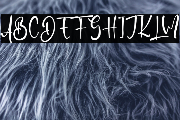 SallyNelson Example 3