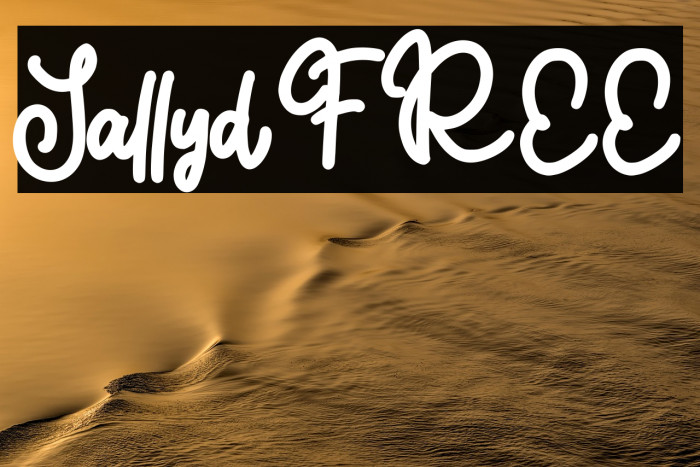 Sallyd FREE Example 2