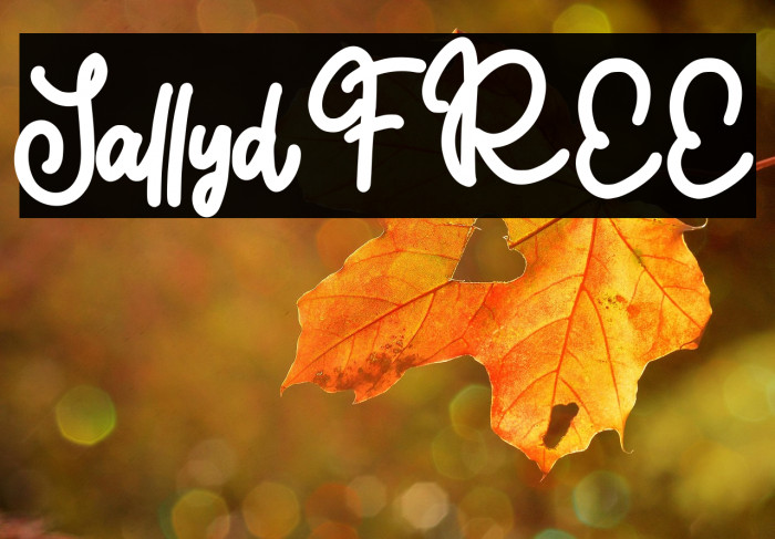 Sallyd FREE Example 3