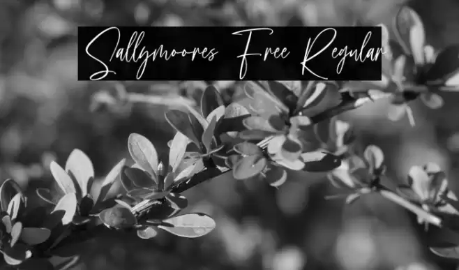 Sallymoores Free Regular Font examples