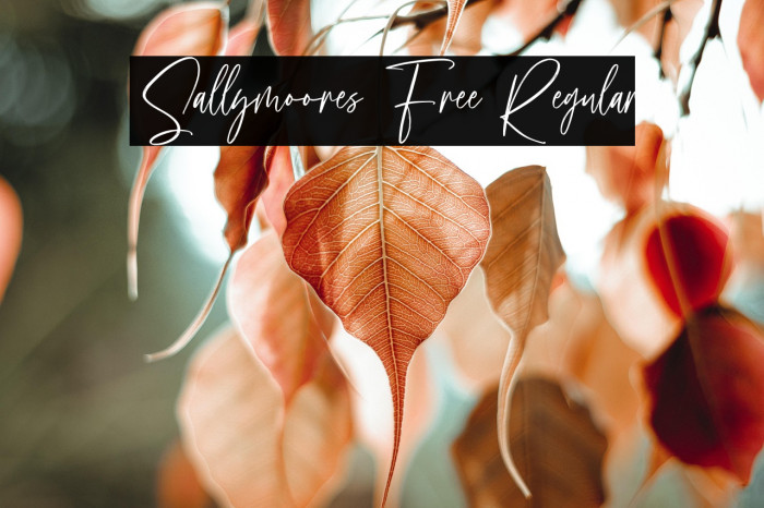 Sallymoores Free Regular Example 2