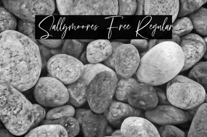 Sallymoores Free Regular Font examples