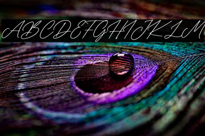 Sallythone Example 3