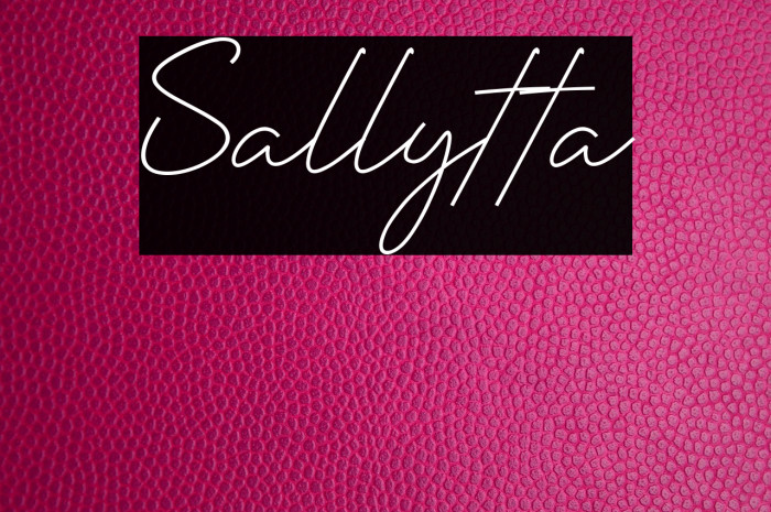Sallytta Example 1