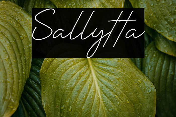 Sallytta Example 2