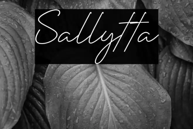 Sallytta Font examples