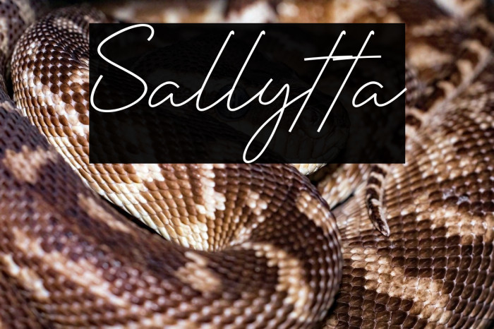 Sallytta Example 3