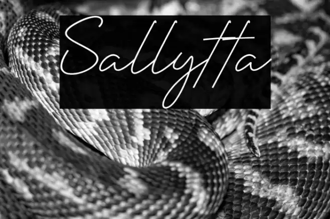 Sallytta Font examples