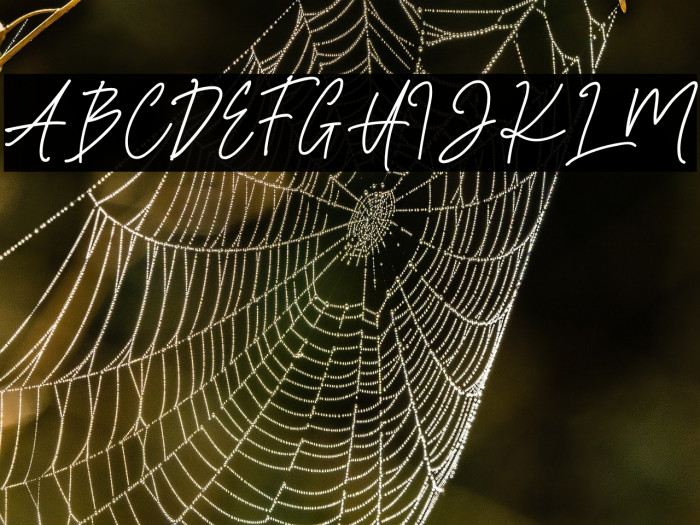 Salma Emanuella Example 2