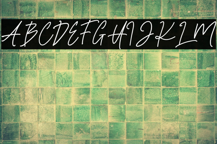 Salma Emanuella Example 3