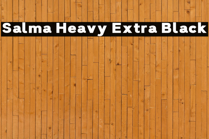 Salma Heavy Extra Black Example 1