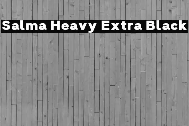 Salma Heavy Extra Black Font examples
