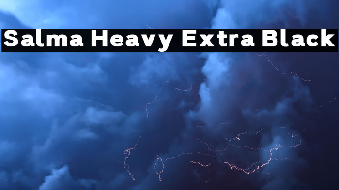 Salma Heavy Extra Black Example 2