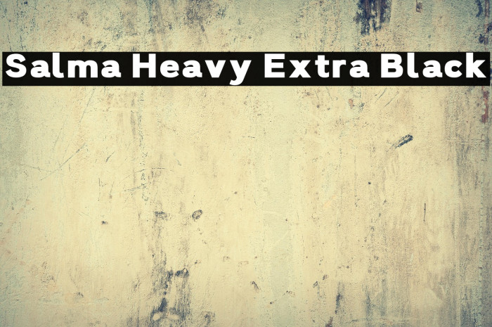 Salma Heavy Extra Black Example 3