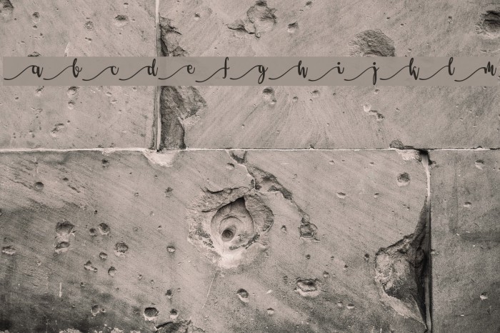 Salma Stylistic 1 Font examples