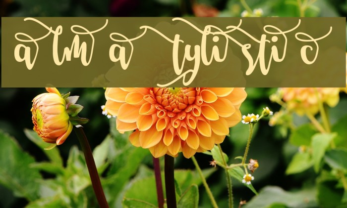 Salma Stylistic 2 Font examples