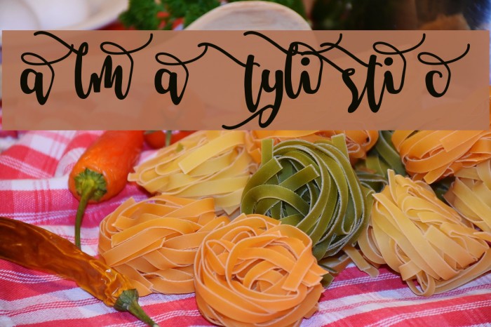 Salma Stylistic 2 Font examples