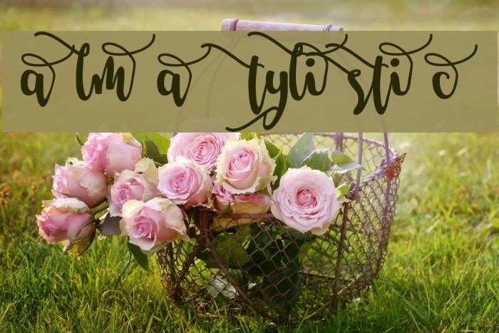 Salma Stylistic 2 Font examples