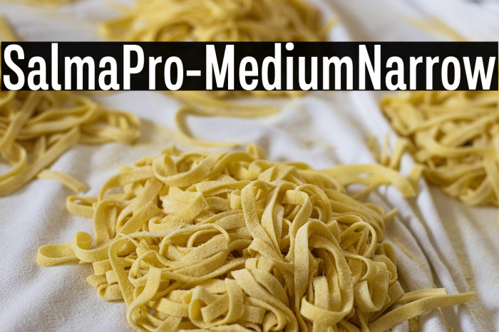SalmaPro-MediumNarrow Example 1