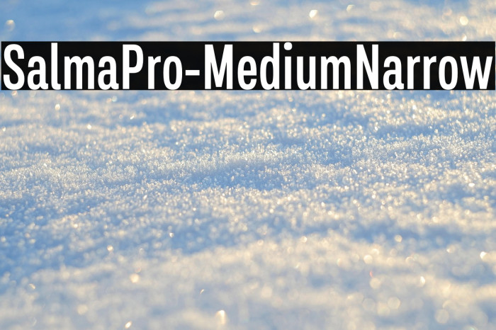 SalmaPro-MediumNarrow Example 2