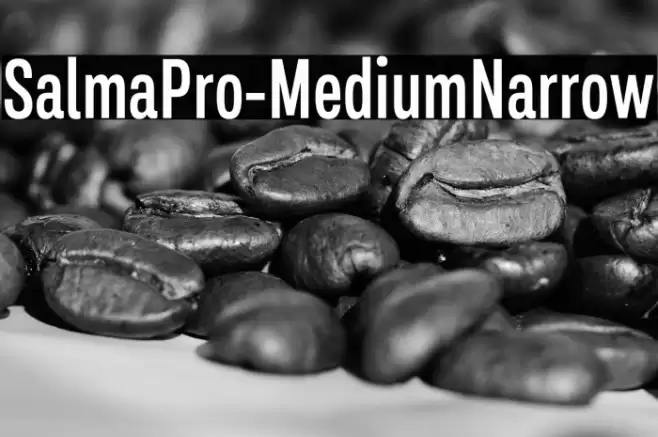 SalmaPro-MediumNarrow Font examples