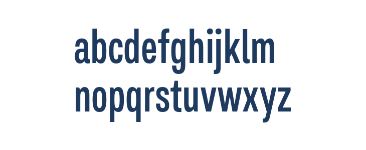 SalmaPro-MediumNarrow Lowercase