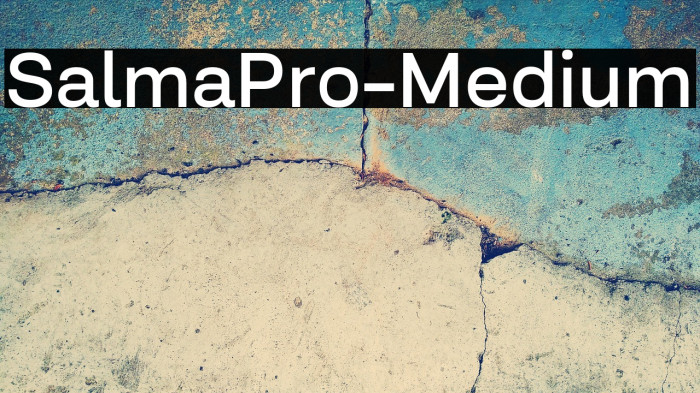 SalmaPro-Medium Example 1