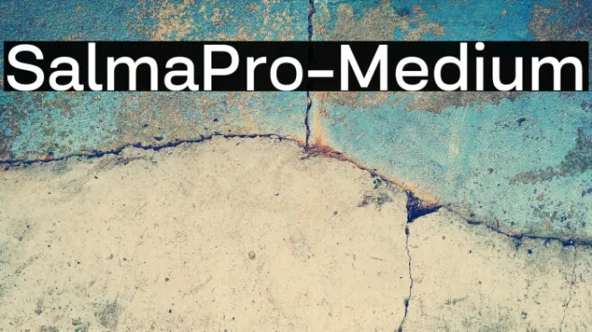 SalmaPro-Medium Example 1