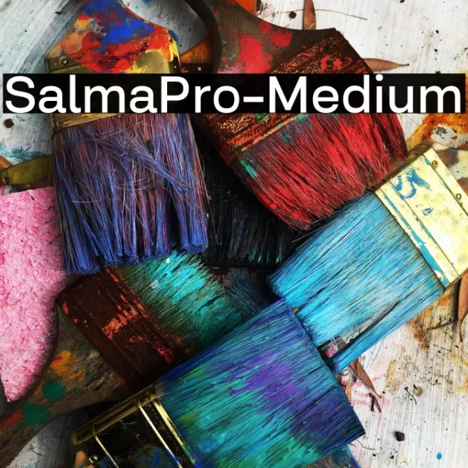 SalmaPro-Medium Example 2