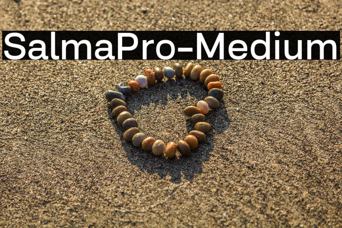 SalmaPro-Medium Example 3