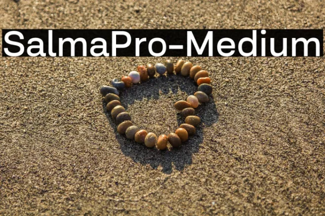 SalmaPro-Medium Example 3