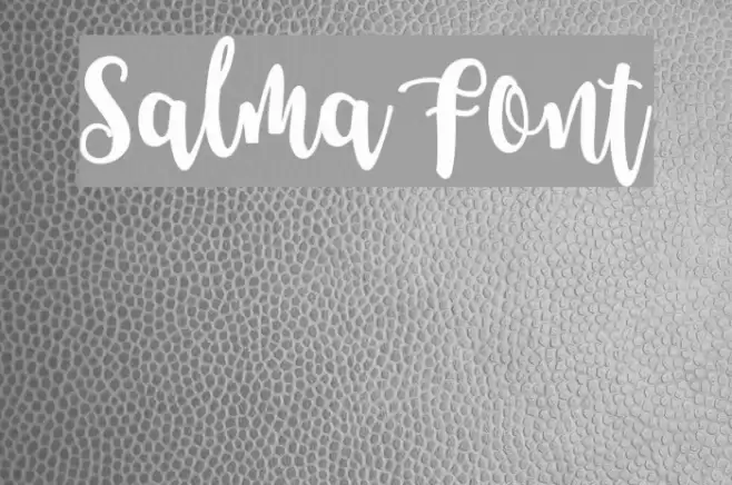 Salma Font examples
