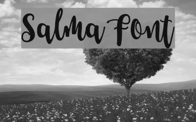 Salma Font examples