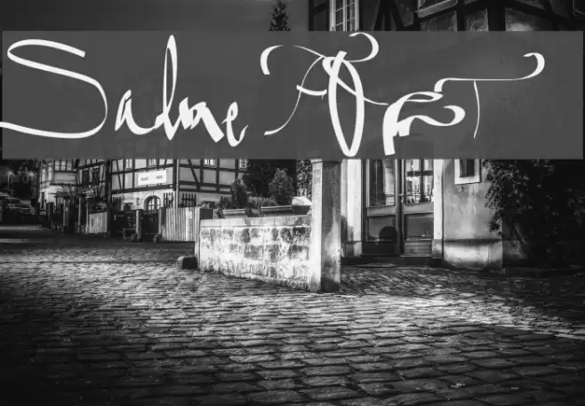Salme Font examples