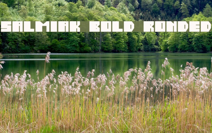 Salmiak Bold Rounded Font examples