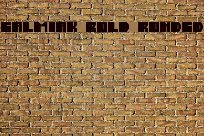 Salmiak Bold Rounded Example 3