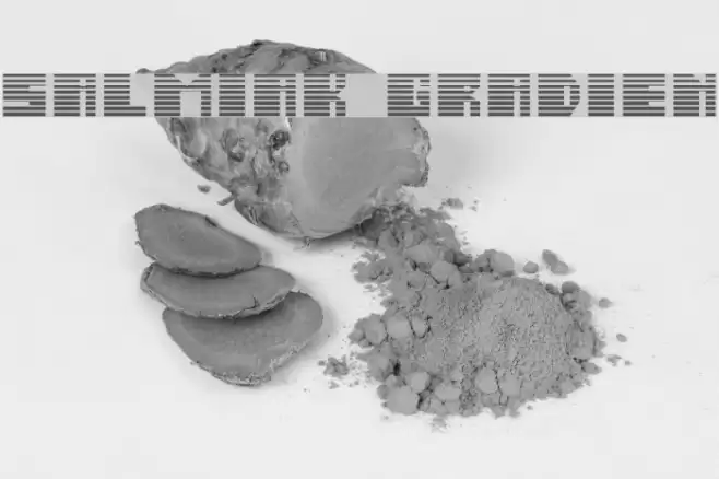 Salmiak Gradient Font examples