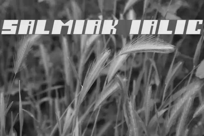 Salmiak Italic Font examples