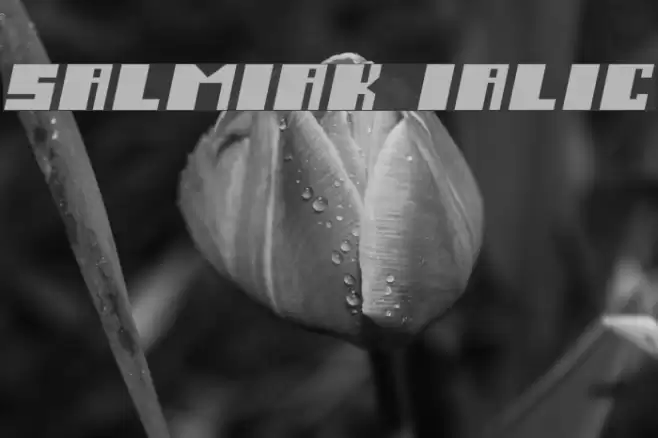 Salmiak Italic Font examples