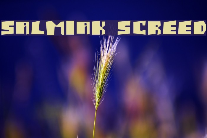 Salmiak Screwed Font examples