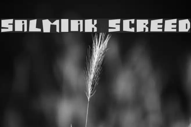 Salmiak Screwed Fonte examples