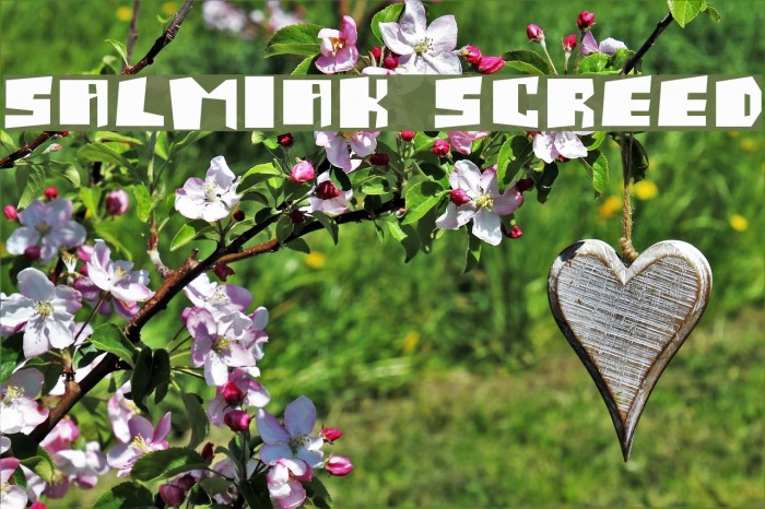 Salmiak Screwed Font examples