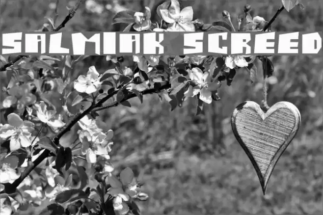 Salmiak Screwed Fonte examples