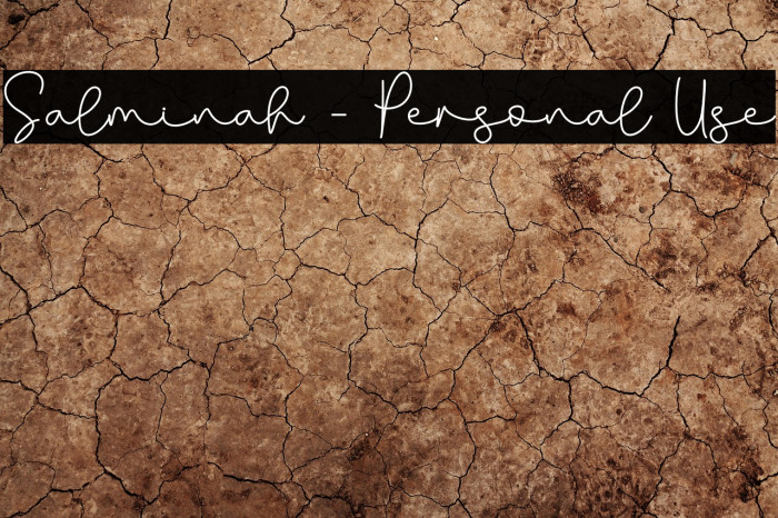 Salminah - Personal Use Example 3