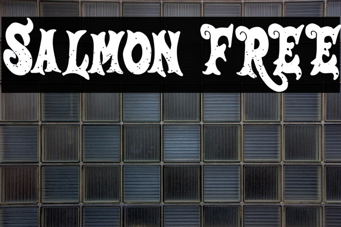 Salmon FREE Example 2