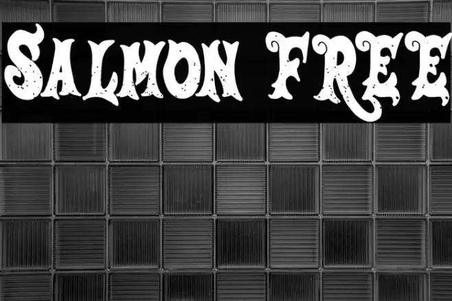 Salmon FREE Font examples