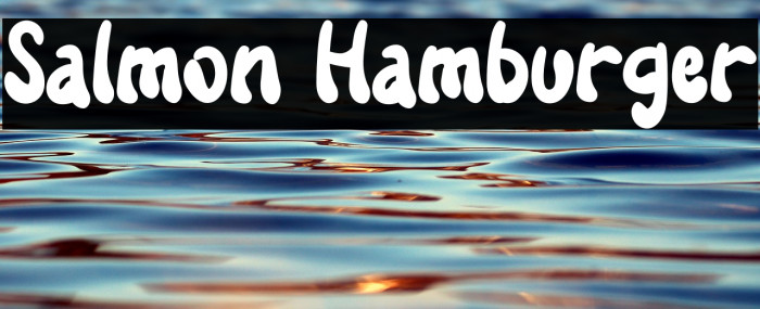 Salmon Hamburger Example 3