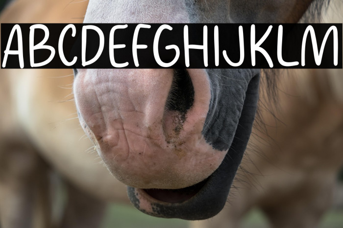 Salmon Season Example 2