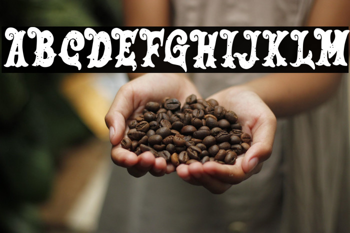 SalmonFREE Example 1