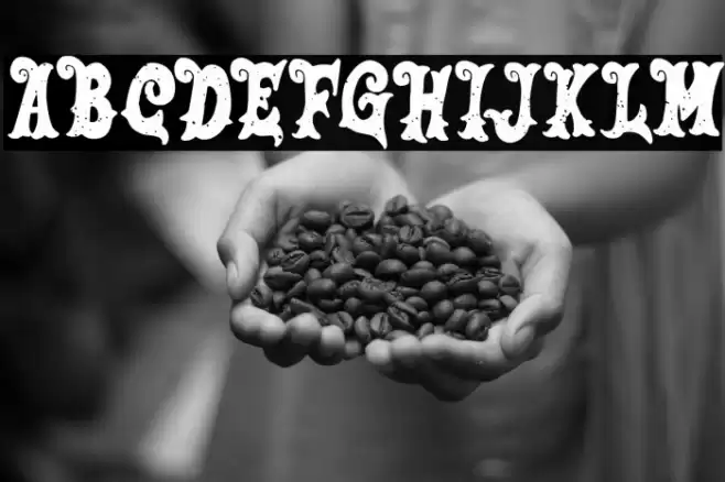 SalmonFREE Font examples